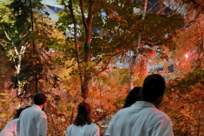 The Biodôme in the evening: an experience not to be missed.