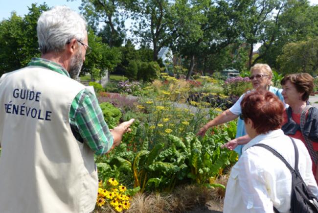 Volunteer guide at the Botanical Garden © Espace pour la vie (Karine Vendette)