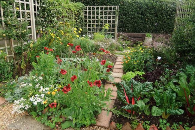 Little biological garden © cc flickr (Julie Gibbons)