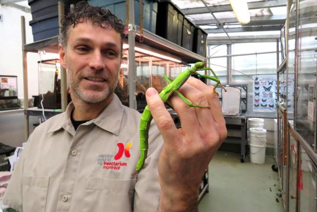 Les coulisses de l’Insectarium : un endroit hors du commun !