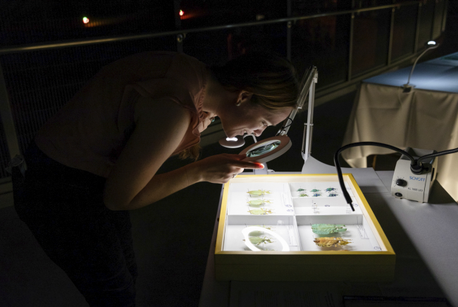 At Researchers' Night, it's possible to handle scientists' research equipment - exciting, isn't it?
