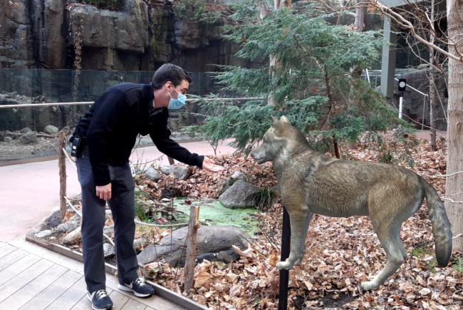 Using the mobile application to see the augmented reality at the Biodome.