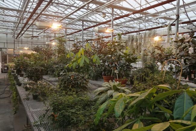 Serres pour nos plantes
