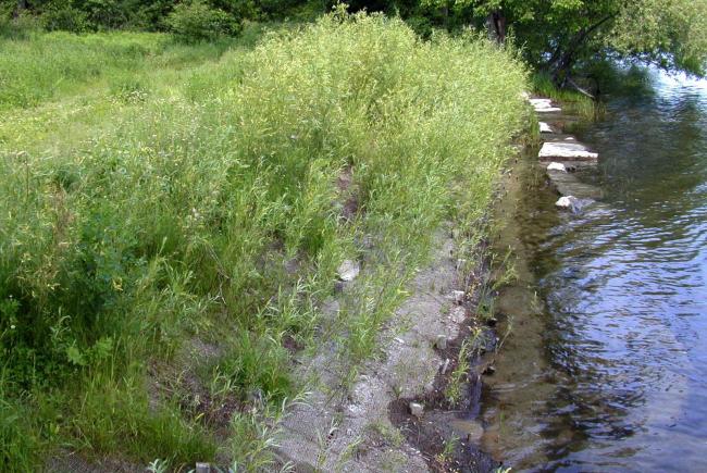 La stabilisation des berges permet de freiner l'érosion 
