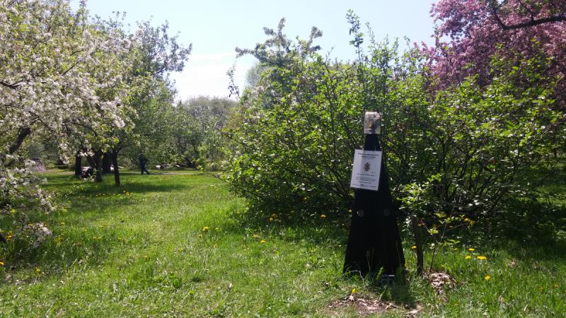 Piège à punaises marbrées