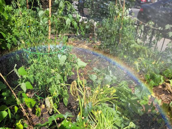 Arc-en-ciel