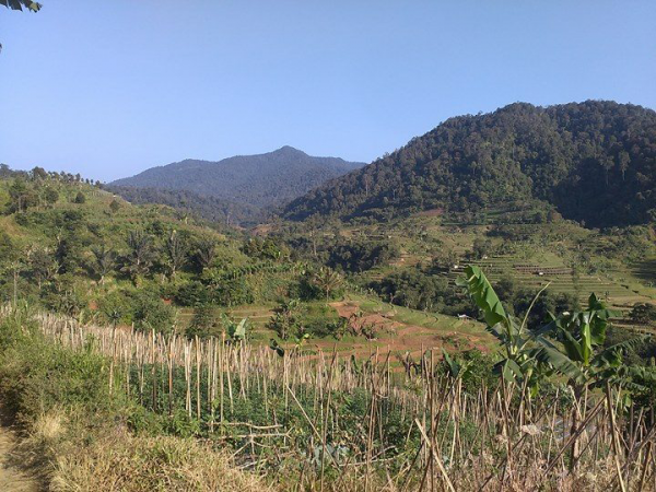 Landscape Indonesia, West Java