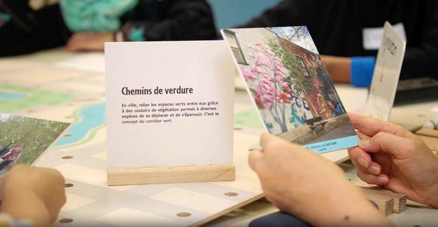 Workshops in the Nature Near You program.