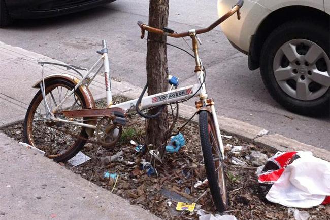 Vélo attaché à un tronc d'arbre