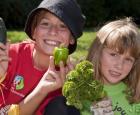 Jardins-jeunes au Jardin botanique de Montréal – Crédit : Michel Tremblay