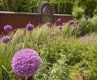 © Jardin botanique de Montréal (Michel Tremblay)