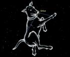 Constellation du Grand Chien 