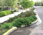 An example of rainwater management in Portland, Oregon