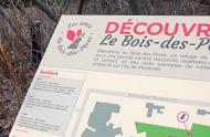 Bois-des-Pères