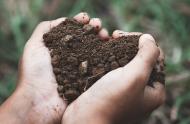 Au quotidien, la nature nous fait du bien