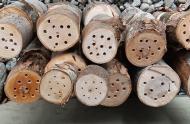 Discover pollinator nesting boxes, a boon for your garden! - Carrousel