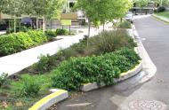 An example of rainwater management in Portland, Oregon