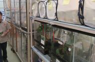 Backstage at the Insectarium: not your average spot!