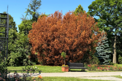 If du Jardin botanique au printemps 2026.