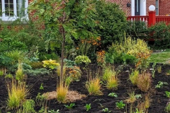 Pollinator garden: A Lachine resident’s inspiring story