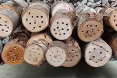 Discover pollinator nesting boxes, a boon for your garden! - Carrousel