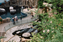 Rediscovering Gulf of St. Lawrence flora at the Biodôme