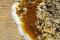 Fructifications of dry rot, or carpophores, may appear on exposed surfaces like a wall or a staircase, and are sometimes the first visible indication of the infestation.