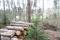 Billots de bois